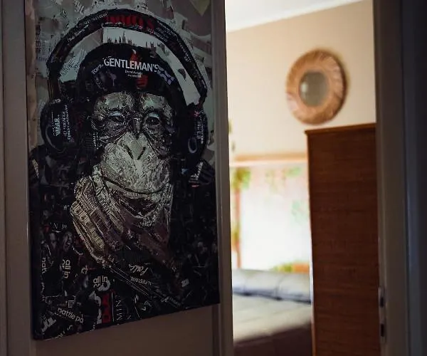 Amaca In Un Meraviglioso A Apartman